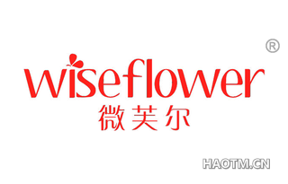 微芙尔 WISEFLOWER