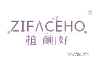 植颜好 ZIFACEHO