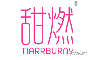 甜燃 TIARRBURNY