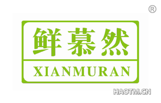 鲜慕然 