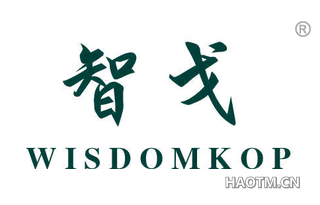 智戈 WISDOMKOP