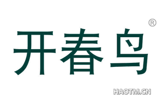 开春鸟 