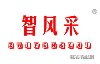 智风采 