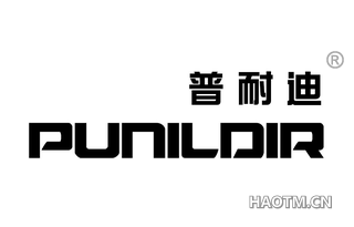 普耐迪 PUNILDIR