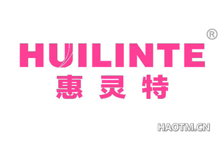 惠灵特 HUILINTE