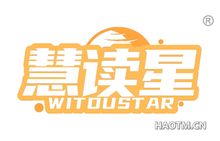 慧读星 WITDUSTAR