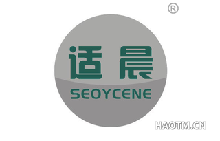 适晨 SEOYCENE