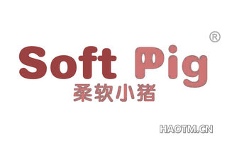 柔软小猪 SOFT PIG