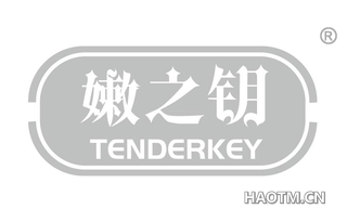 嫩之钥 TENDERKEY