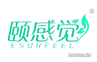 颐感觉 ESURFEEL