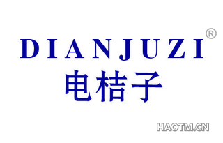 电桔子 