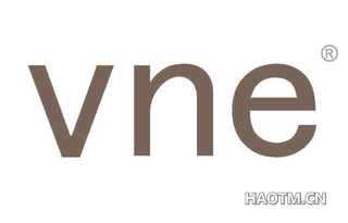  VNE