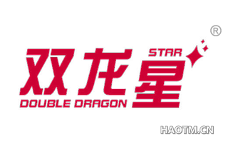 双龙星 DOUBLE DRAGON STAR