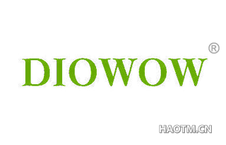  DIOWOW