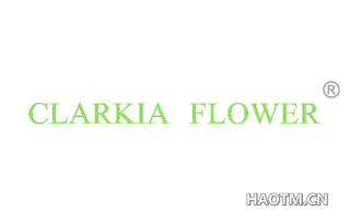 CLARKIA FLOWER
