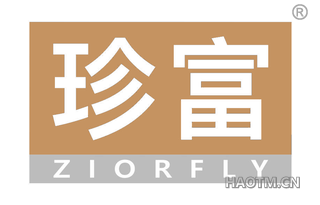 珍富 ZIORFLY