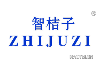智桔子 