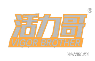 活力哥 VIGOR BROTHER