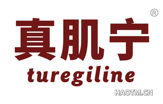 真肌宁 TUREGILINE