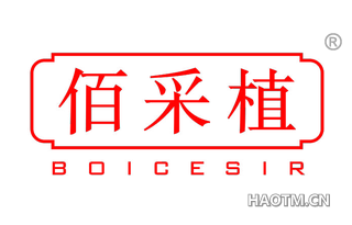 佰采植 BOICESIR