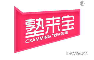 塾来宝 CRAMMING TREASURE