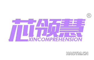 芯领慧 XINCOMPREHENSION