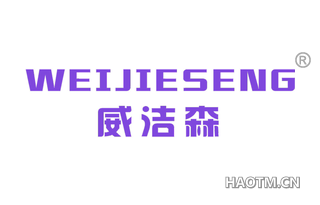 威洁森 WEIJIESENG