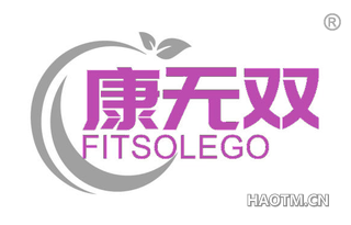 康无双 FITSOLEGO