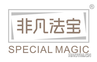 非凡法宝 SPECIAL MAGIC