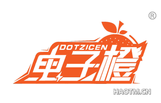 电子橙 DOTZICEN