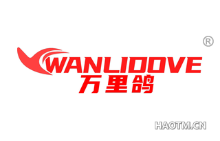 万里鸽 WANLIDOVE