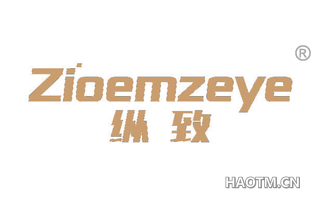 纵致 ZIOEMZEYE