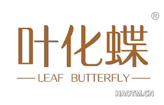 叶化蝶 LEAF BUTTERFLY