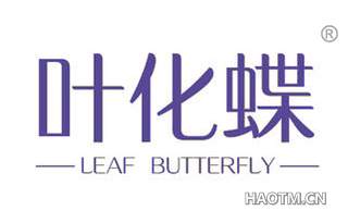 叶化蝶 LEAF BUTTERFLY