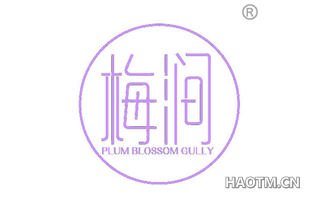 梅涧 PLUM BLOSSOM GULLY