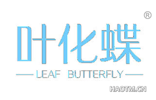 叶化蝶 LEAF BUTTERFLY