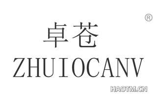 卓苍 ZHUIOCANV