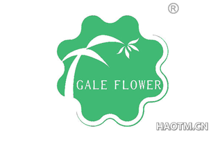 GALE FLOWER