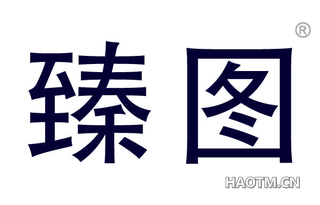 臻图 