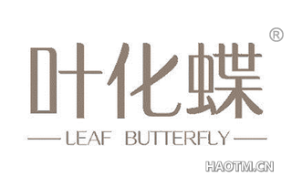 叶化蝶 LEAF BUTTERFLY