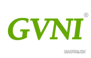  GVNI