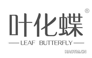 叶化蝶 LEAF BUTTEFLY