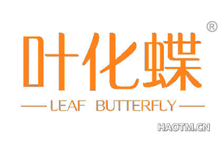 叶化蝶 LEAF BUTTERFLY