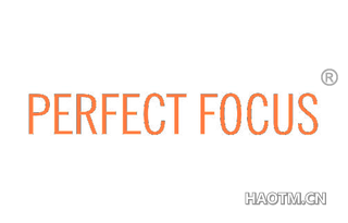 PERFECT FOCUS