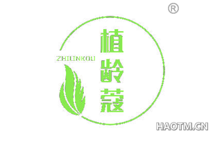 植龄蔻 ZHILINKOU