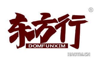 东方行 DOMFUNXIM