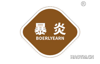 暴炎 BOERLYEARN