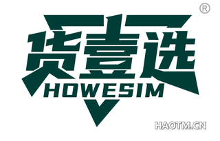 货壹选 HOWESIM