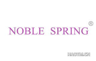  NOBLE SPRING