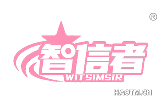 智信者 WITSIMSIR